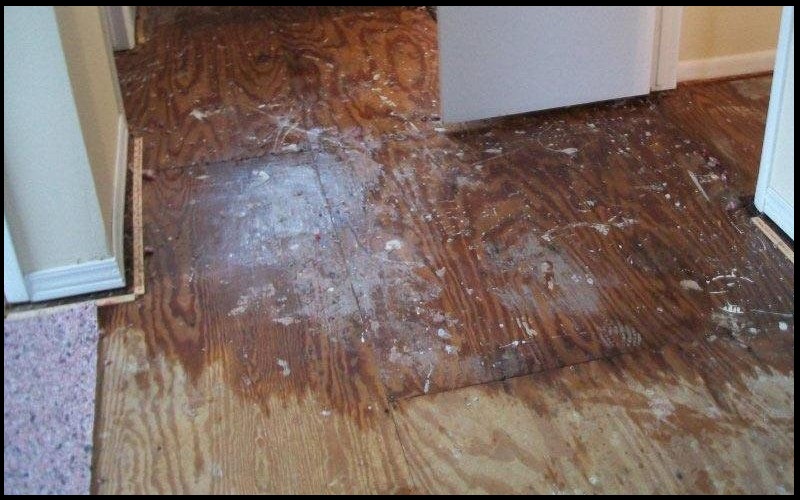 Water-Damage-Restoration