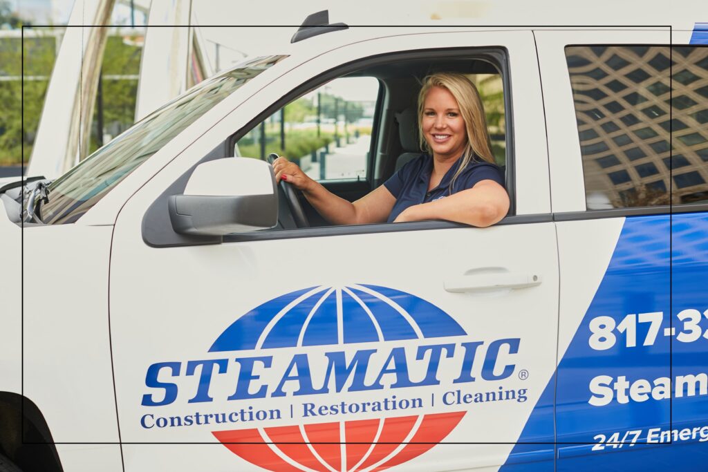 mold removal service
