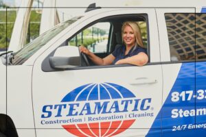 mold removal service