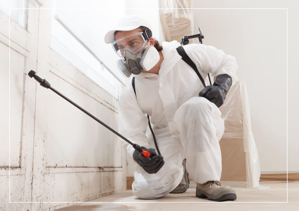mold clean up