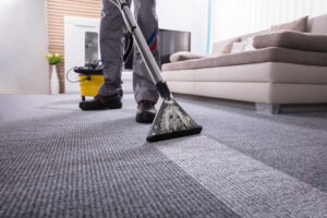 carpets and area rugs cleaning services