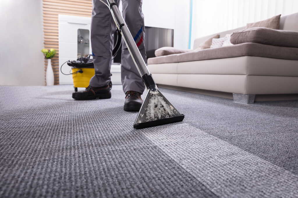 carpets and area rugs cleaning services