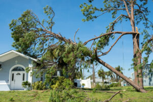 wind damage restoration