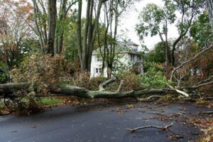 Storm Damage Cleanup