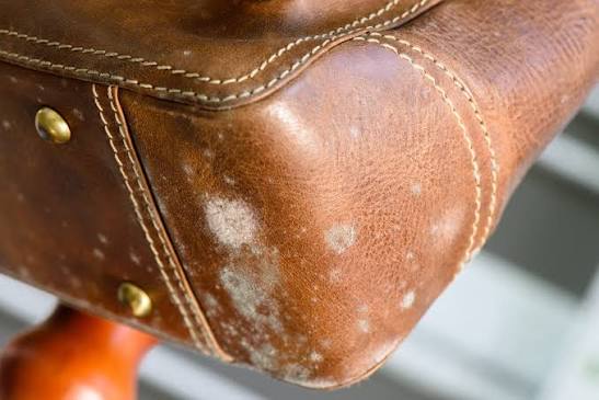How to Get Mold Off Leather